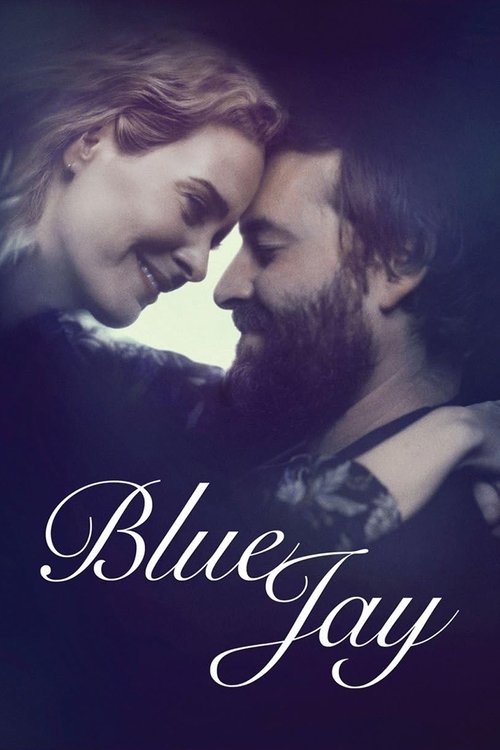 blue jay poster