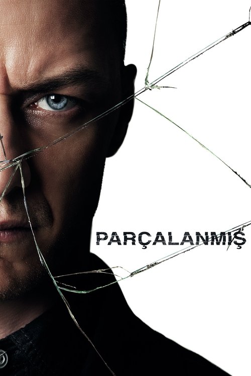 parçalanmış poster