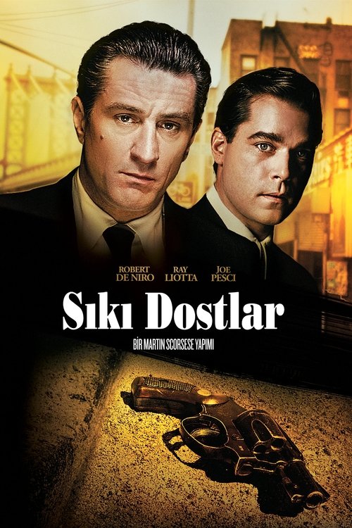 sıkı dostlar poster