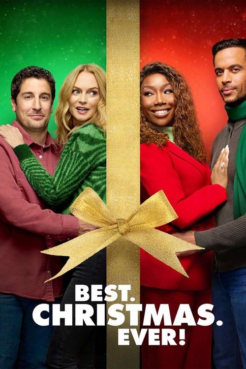 hayatımın en i̇yi noel tatili poster