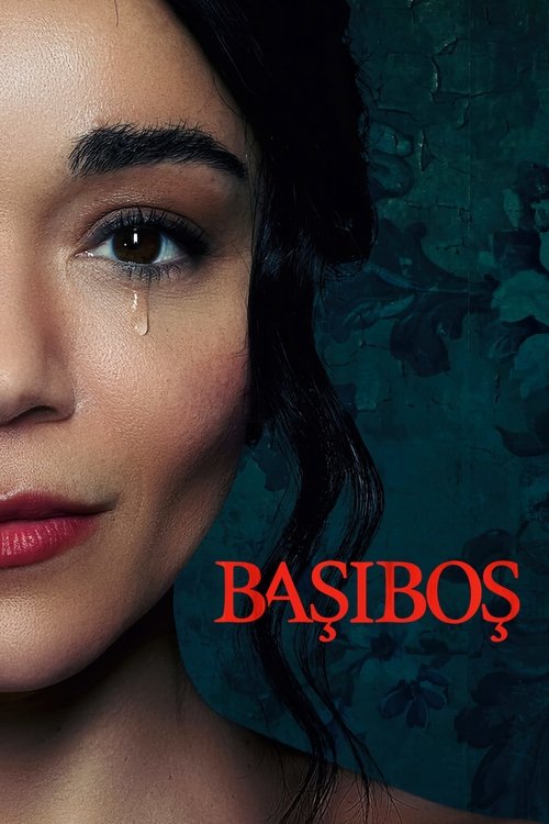 başıboş poster