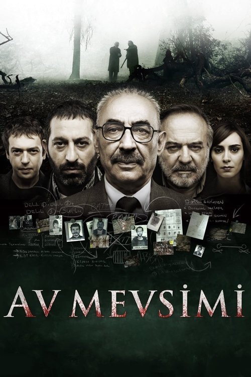 av mevsimi poster