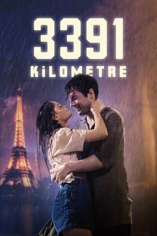 3391 kilometre poster
