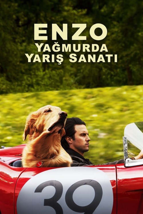 enzo: yağmurda yarış sanatı poster