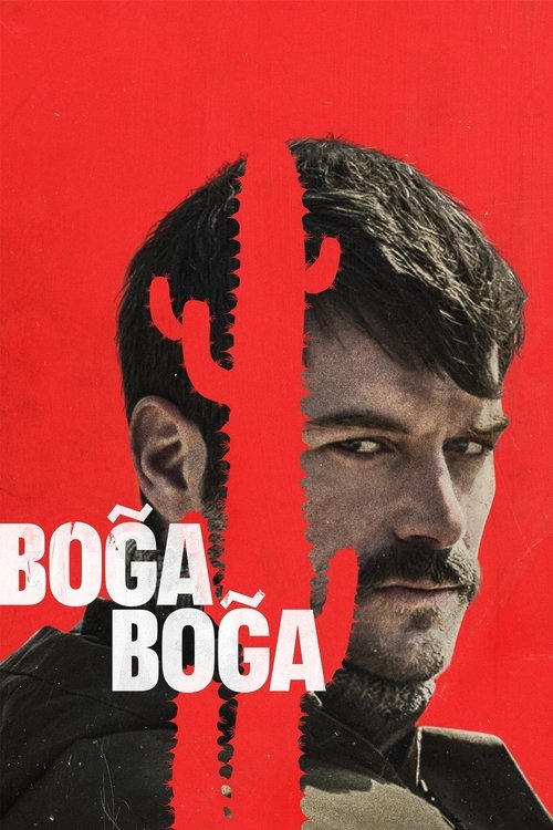 boğa boğa poster