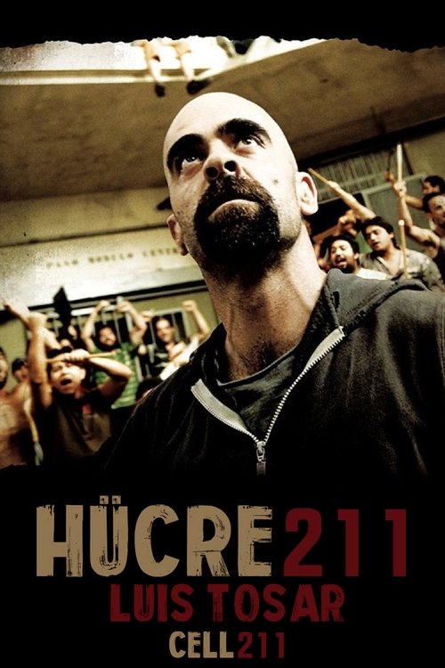 hücre 211 poster
