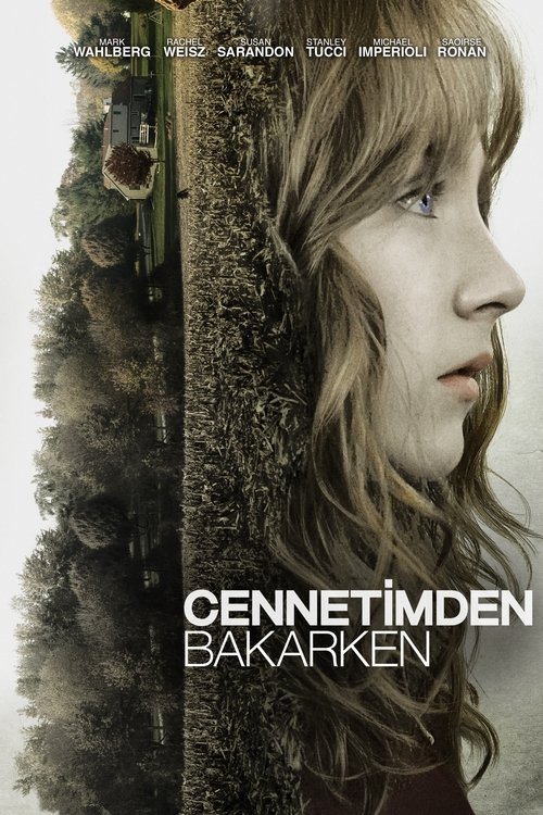 cennetimden bakarken poster