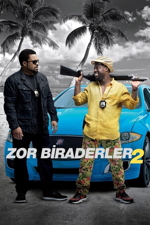zor biraderler 2 poster