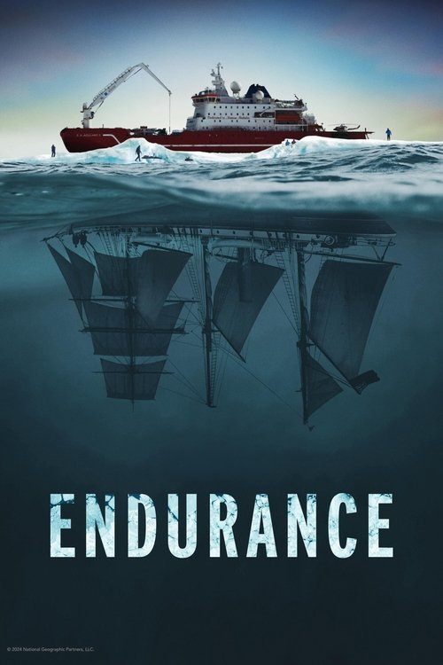 batık gemi endurance poster
