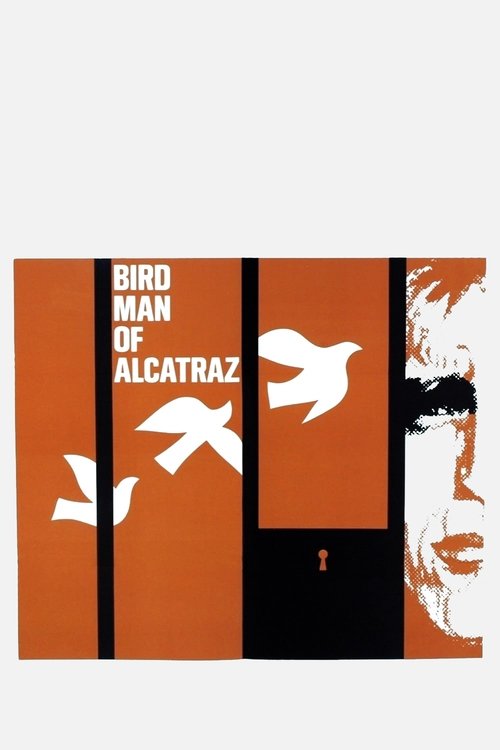alkatraz kuşçusu poster