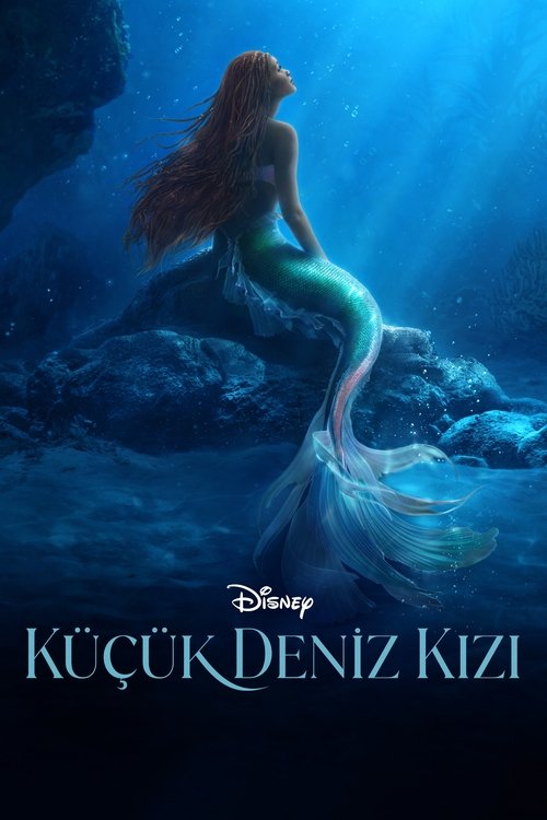 küçük deniz kızı poster