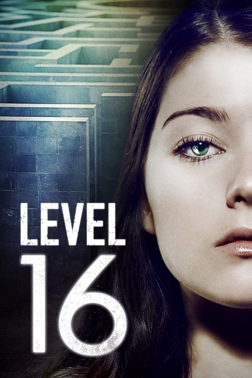 seviye 16 poster