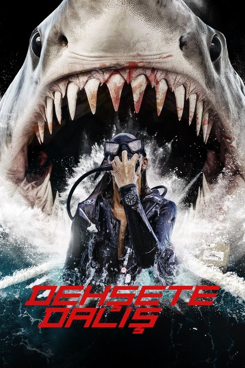 dehşete dalış poster
