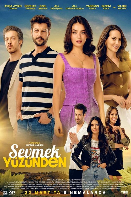 sevmek yüzünden poster