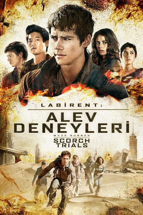 labirent: alev deneyleri poster