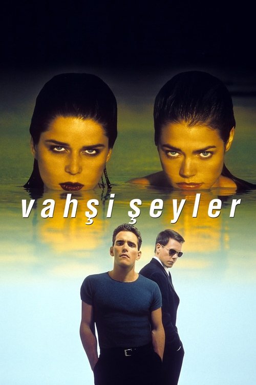 vahşi şeyler poster