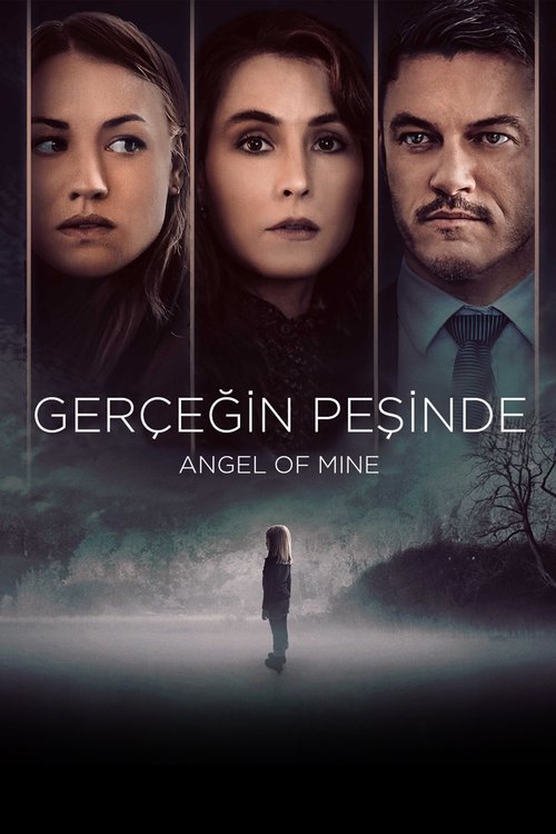 gerçeğin peşinde poster