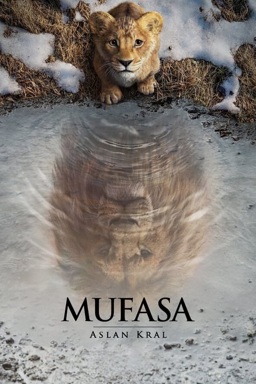 mufasa: aslan kral poster