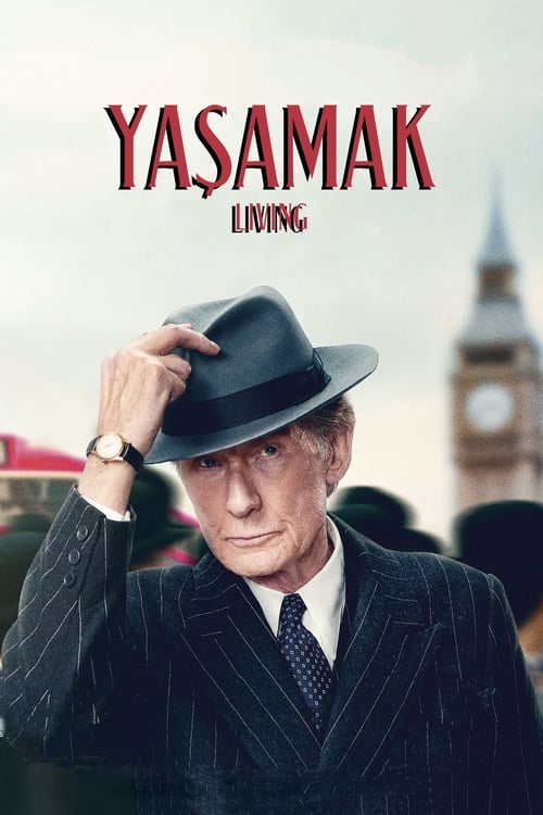yaşamak poster