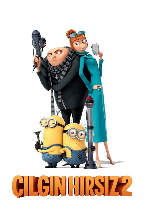 çılgın hırsız 2 poster