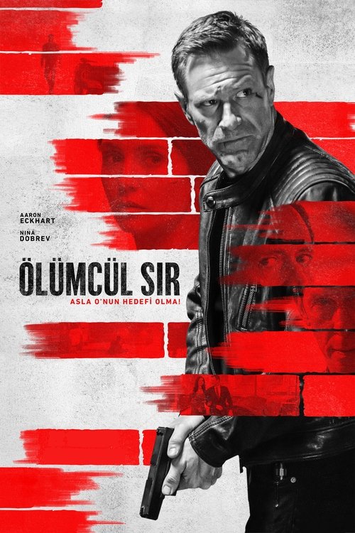 ölümcül sır poster