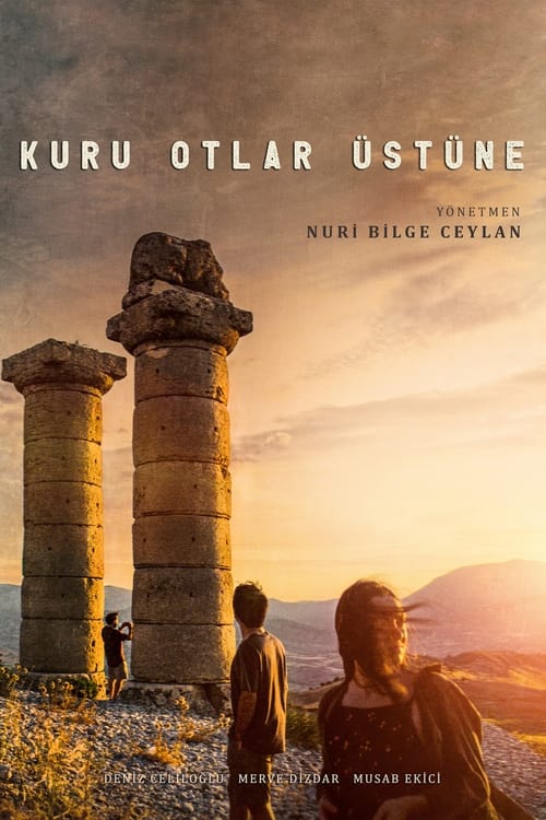 kuru otlar üstüne poster