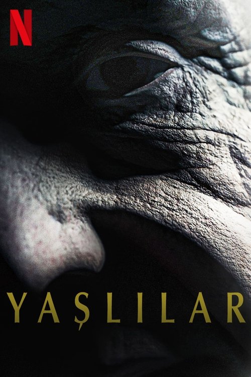 yaşlılar poster
