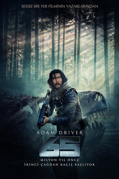 65 poster