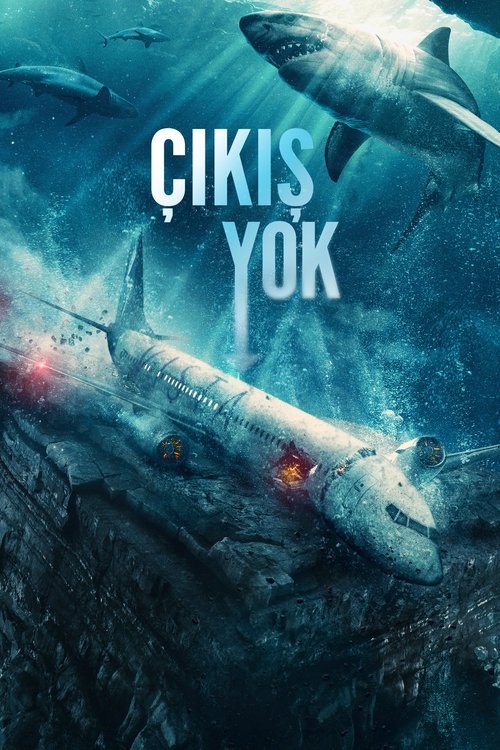 çıkış yok poster