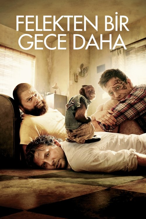 felekten bir gece daha poster
