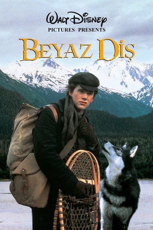 beyaz diş poster