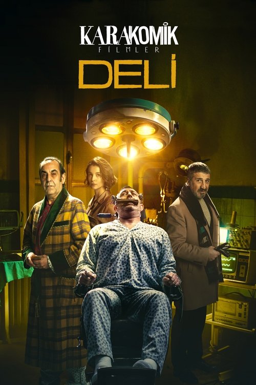 karakomik filmler 2: deli poster