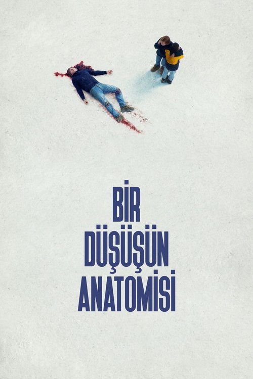 bir düşüşün anatomisi poster