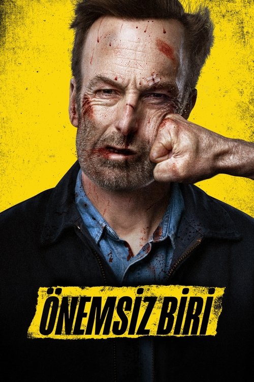 önemsiz biri poster