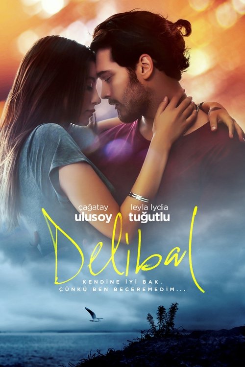 delibal poster