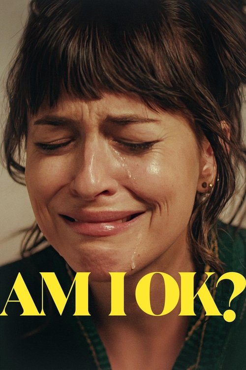 am i ok? poster