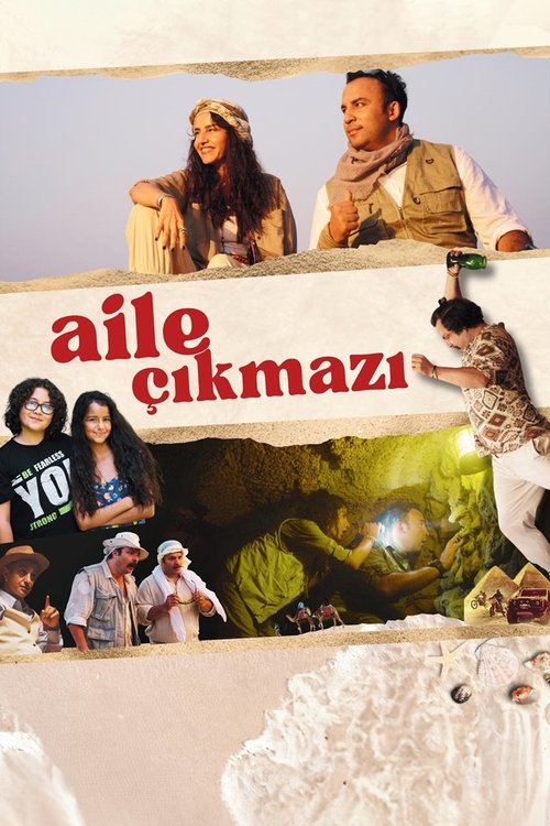 aile çıkmazı poster