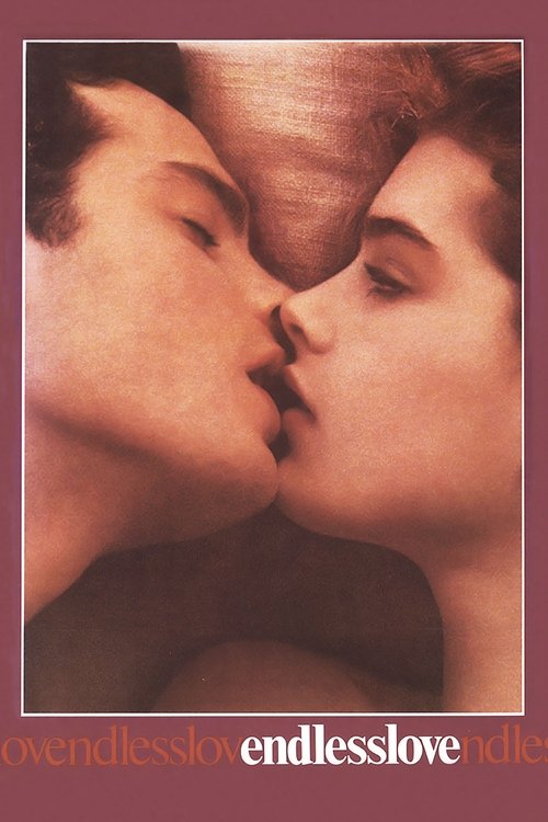 sonsuz aşk poster