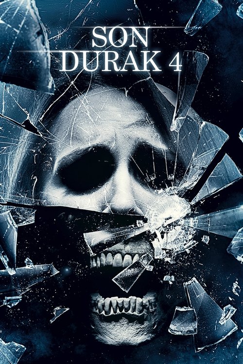 son durak 4 poster