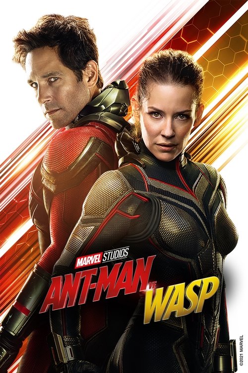 ant-man ve wasp poster