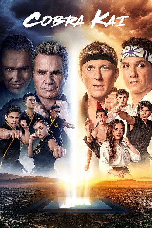 cobra kai poster