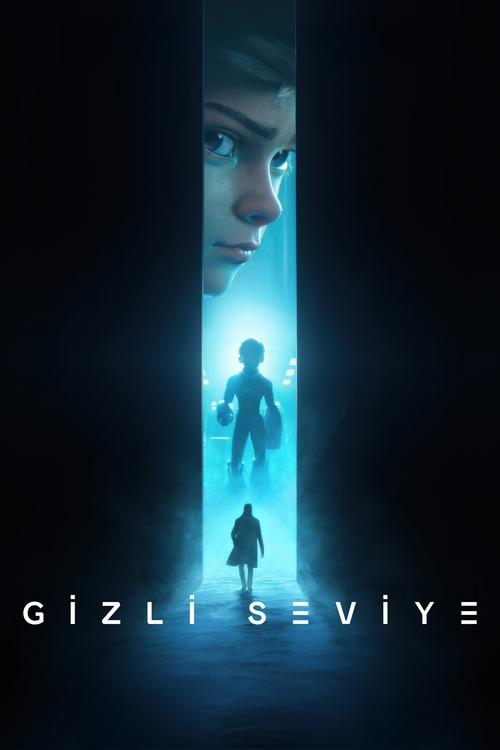 gizli seviye poster