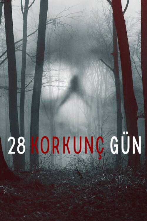 28 korkunç gün poster
