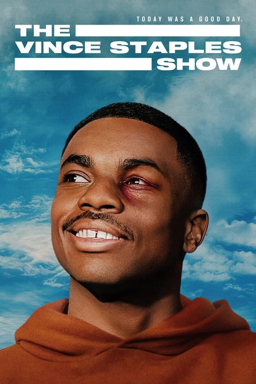 the vince staples show poster