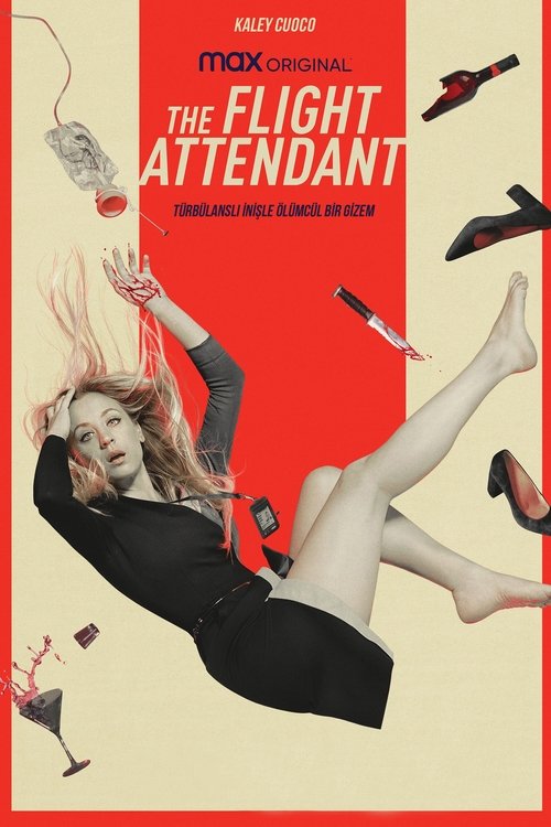the flight attendant poster