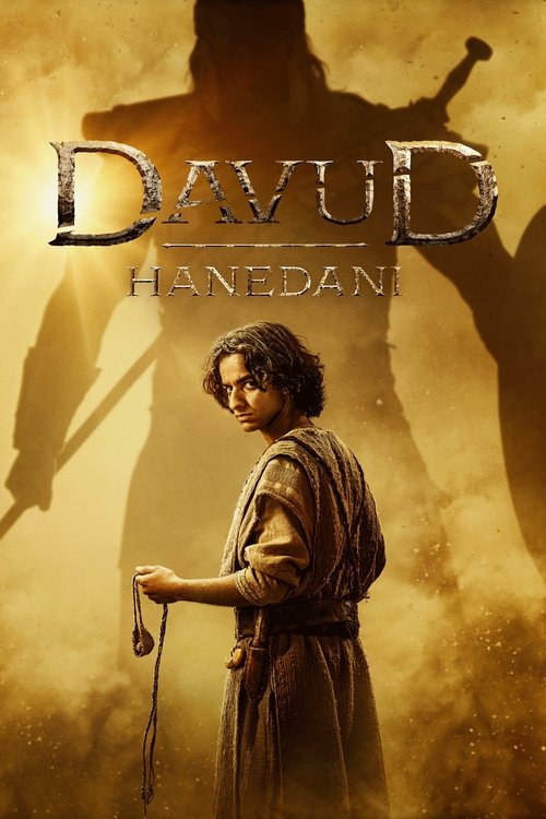 davud hanedanı poster