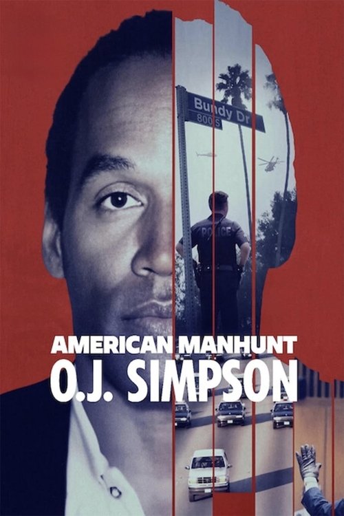 i̇nsan avı: o.j. simpson poster