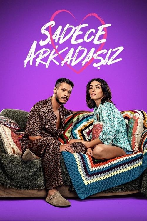 sadece arkadaşız poster
