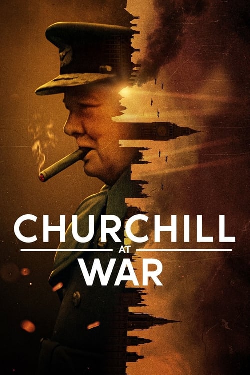 churchill savaşta poster