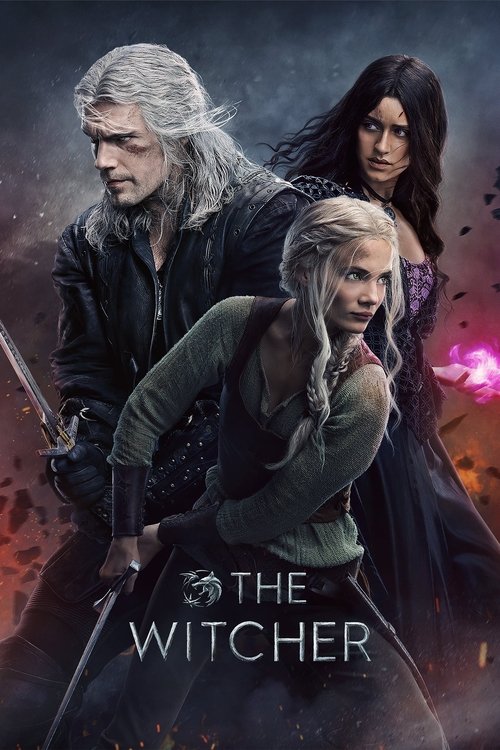 the witcher poster
